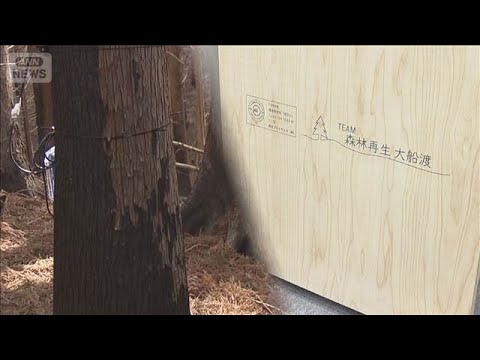 岩手・大船渡の山火事から1年　黒焦げの“被害木”課題に【サタデーステーション】(2026年2月21日)