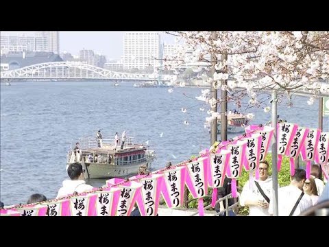 “花見日和”5月並みの陽気も　東京など桜満開【スーパーJチャンネル】(2026年3月29日)