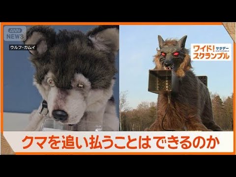 冬眠明けのクマ出没　注目の対策グッズは？　携帯型や雨・風に強いものまで【ワイド！スクランブル】(2026年4月11日) サムネイル