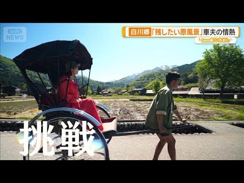 新緑の白川郷　村唯一の車夫「子どもたちが帰りたくなる故郷に」【グッド！いちおし】【グッド！モーニング】(2026年5月… サムネイル