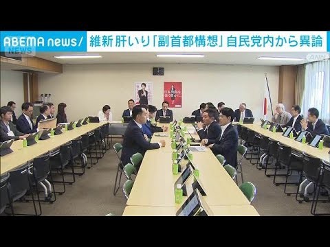 維新肝いり「副首都」法案　自民党内から異論(2026年5月29日) サムネイル