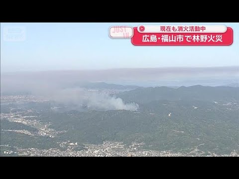 現在も消火活動中　広島・福山市で林野火災【スーパーJチャンネル】(2026年5月17日) サムネイル