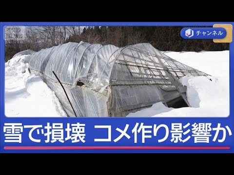 豪雪でコメ倉庫損壊　“コメ作り”ピンチ？【スーパーJチャンネル】(2026年2月17日)