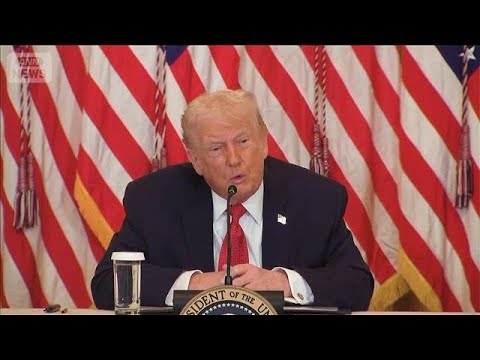 トランプ氏「デンマークは何もできていない」　グリーンランドの安全保障めぐり主張(2026年1月19日) サムネイル