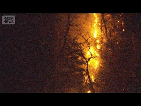 山梨の山火事延焼続く　住宅まで約50mに迫る(2026年1月10日) サムネイル