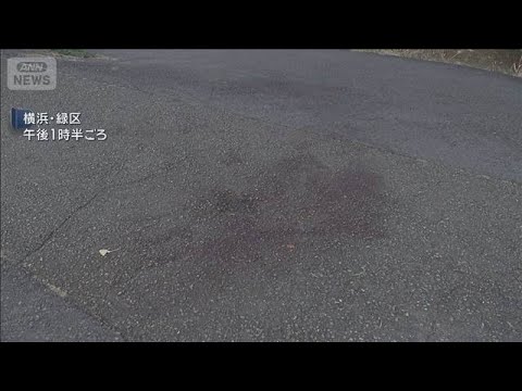 横浜・鶴見川河川敷で強盗　50代男性が眼底骨折　男は逃走(2026年1月8日) サムネイル