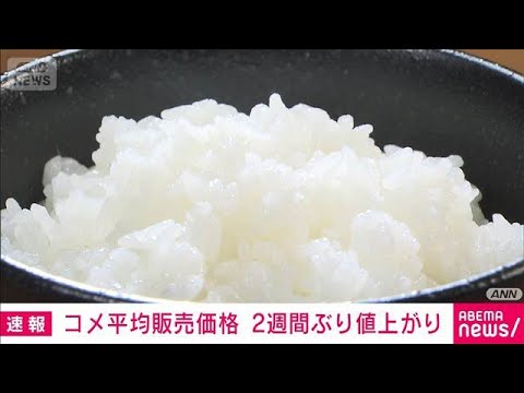 コメ販売価格2週ぶり値上がり　4000円台の高値続く(2026年2月6日) サムネイル