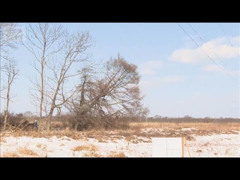 釧路メガソーラー問題　予定地で樹木伐採　合意なく住民反発　会社は年内着工方針【もっと知りたい！】【グッド！モーニング】… サムネイル