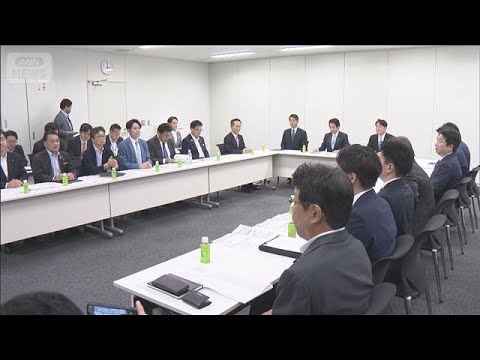 ゼロか1％か　消費減税で各党意見分かれ紛糾　現金給付先行？　とりまとめ期限迫る【もっと知りたい！】【グッド！モーニング… サムネイル