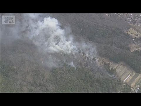 「たばこポイ捨て」枯れ草燃え山火事に　大阪・能勢町【スーパーJチャンネル】(2026年3月30日) サムネイル