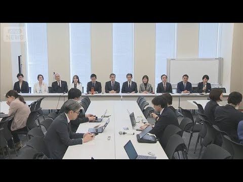 【独自】再審見直し議論は連休明けまで持ち越しに　自民反対派11人が会見(2026年4月21日) サムネイル