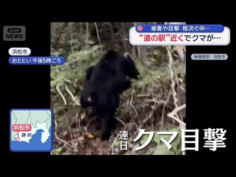 被害や目撃相次ぐなか…“道の駅”近くでクマ目撃も【スーパーJチャンネル】(2026年5月24日) サムネイル