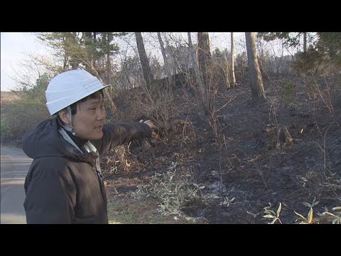 焼損範囲が急速に拡大した理由は？専門家が指摘する“消火の難しさ”山林火災3日目【報道ステーション】(2026年4月24… サムネイル