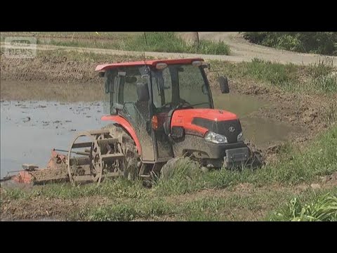 トラクターに巻き込まれ　45歳女性死亡　田んぼで発見【スーパーJチャンネル】(2026年5月11日) サムネイル