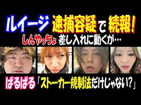 【ぱるぱる】「ストーカー規制法だけじゃない?」【ルイージ】の逮捕容疑で続報!【しんやっちょ】差し入れに動くが…【ヤミー】 サムネイル