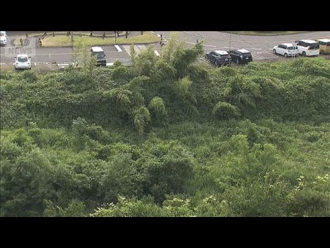 広瀬川の河川敷でクマ1頭目撃　現場周辺で注意呼びかけ　仙台市(2026年6月15日) サムネイル