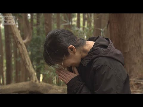 元の生活願い「雨降りますように」自宅に戻る準備　山林火災“深刻な局面は脱した”【報道ステーション】(2026年4月28… サムネイル