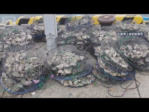 「殻付きカキ」盗んだか　男2人を逮捕【スーパーJチャンネル】(2026年5月27日) サムネイル