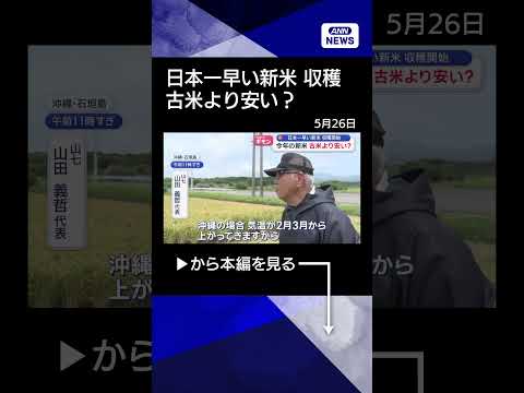 【ニュース】日本一早い新米が収穫！今年のコメ　古米より安い？ shorts