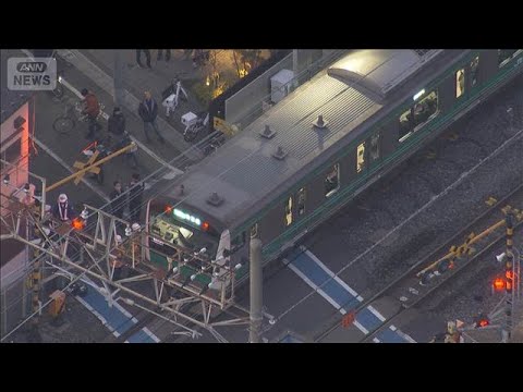 【速報】JR埼京線ではさみ振り回し暴れたか　少年逮捕　安全確認のため運転見合わせも(2026年1月23日) サムネイル