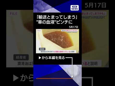 【ニュース】“車の血液”入手困難で物流に懸念の声…現場レベルでは石油製品の“目詰まり”悪化も shorts サムネイル