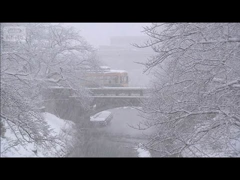 強烈寒波 再びピーク　北海道で今季最低マイナス28.1℃　日本海側は災害級の大雪警戒(2026年1月24日) サムネイル