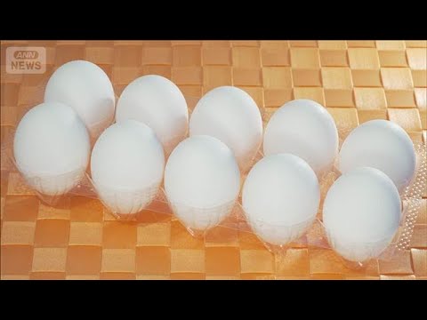 今年の卵の平均価格　過去最高の324円　鳥インフルエンザ対応で供給量回復せず(2025年12月26日) サムネイル