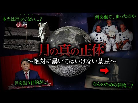 【完全版】月にはあまりにも謎が多すぎる件 サムネイル