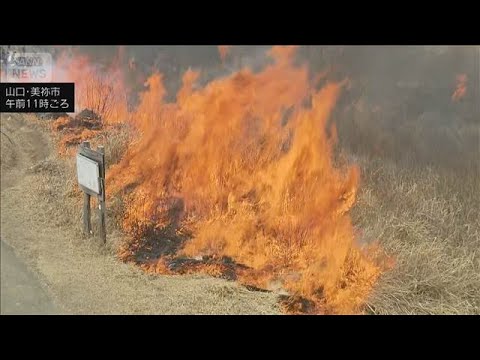 秋吉台の山焼きで作業員1人が死亡　衣服に火が燃え移る　山口(2026年2月14日)