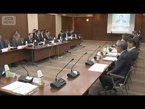 給付付き税額控除の対象世帯　外国の制度を参考に　有識者会議　夏前に中間とりまとめ(2026年5月15日) サムネイル