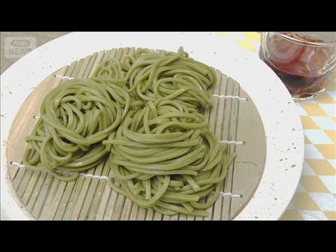 食べるお茶「狭山茶うどん」　コクと深み詰め込む技術導入し“急須のお茶”低迷打開へ【グッド！モーニング】(2026年6月… サムネイル
