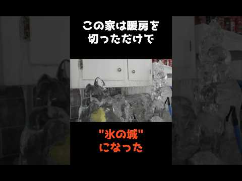 【暖房を切っただけで"氷の城"になった家】 shorts 事件 雑学