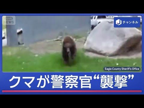 【スーパーJチャンネル】米国西部でクマの人里侵入が増加、コロラド州は目撃過去最高