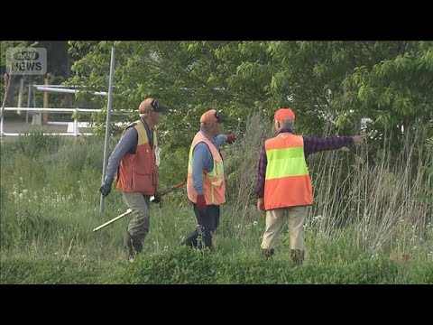 岩手や宮城でクマ目撃相次ぐ　盛岡市では一時“緊急銃猟”(2026年5月15日)