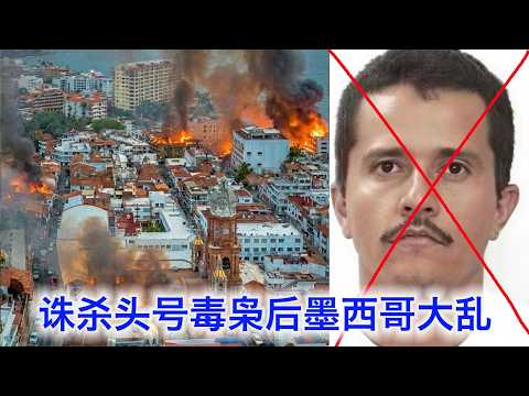 美国助墨西哥诛杀头号毒枭，全国大乱贩毒集团疯狂报复。美国毒品问题为什么这么难解决？ サムネイル