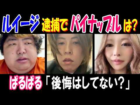 【ぱるぱる】「後悔はしてない?」【ルイージ】逮捕で【パイナップル】ちゃんは? サムネイル