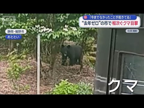 “去年ゼロ”の市で相次ぐクマ目撃　「今までなかったことが起きている」【スーパーJチャンネル】(2026年5月26日)