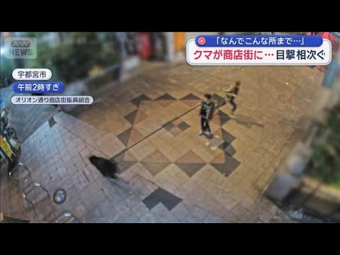 クマが商店街に 目撃相次ぐ「なんでこんな所まで…」　宇都宮市【スーパーJチャンネル】(2026年6月7日)