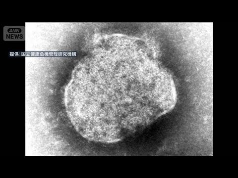 小学校ではしか集団感染　47人に急増　東京・新宿区(2026年4月25日) サムネイル