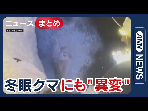 【クマ被害】動物園の駐車場で男性職員クマに襲われけが/長年研究の専門家が感じた“クマの異変”【ニュースまとめ】(202… サムネイル