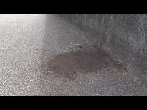 千葉・君津市の路上で男性が頭から血を流し倒れ死亡　ひき逃げ事件で捜査(2026年4月19日) サムネイル