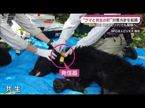 世界遺産にクマ影響 京都の古刹が一部立入禁止に 日光の名所にも“爪あと”(2026年5月3日) サムネイル