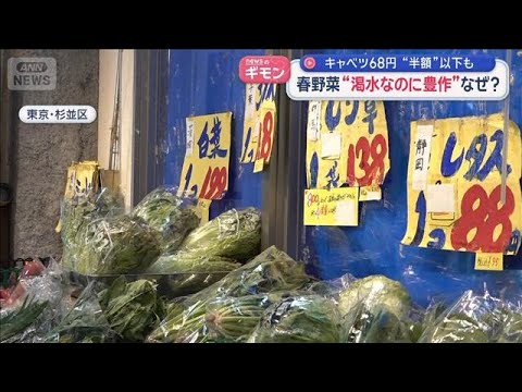 春野菜“渇水なのに豊作”なぜ？　キャベツ68円“半額”以下も【スーパーJチャンネル】(2026年4月2日) サムネイル