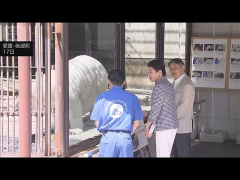 天皇皇后両陛下　県立とべ動物園を視察　ホッキョクグマとご対面　「名残惜しい」(2026年5月17日) サムネイル