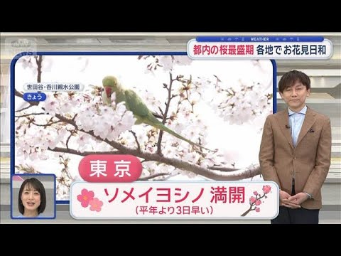 【関東の天気】都内の桜最盛期 各地でお花見日和　午後は変わりやすい天気に注意【スーパーJチャンネル】(2026年3月2…