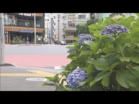 【速報】関東甲信・東海地方の梅雨入りを発表　平年並み　気象庁(2026年6月7日) サムネイル