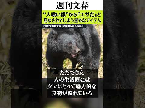 「強い匂いでクマを引き寄せてしまう」自宅にあれば要注意…“人喰い熊”から『エサだ』と見なされてしまう意外なアイテムとは？ サムネイル