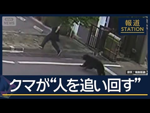 住宅街にクマ出没　人を追いかけ回し…建物内に居座りか　男女4人がけが【報道ステーション】(2026年6月2日) サムネイル