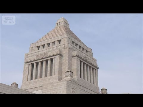 短期決戦の衆院選　野党も公約発表へ　「独身税」廃止や消費減税、外国人政策で主張も【もっと知りたい！】【グッド！モーニン… サムネイル