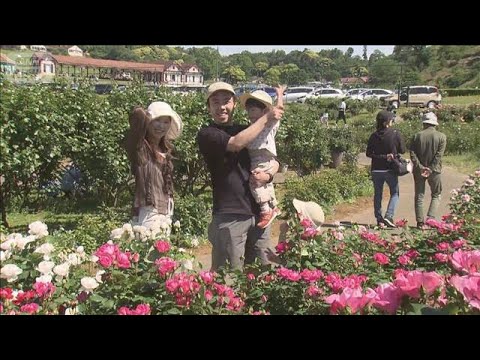 ユリの花畑“14分の1”に縮小　祭りの屋台にも…GWに中東危機の“影”【報道ステーション】(2026年5月5日) サムネイル
